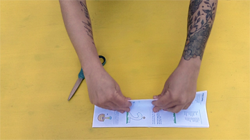 Life Story Folding Instructions